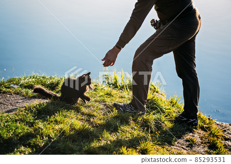 Fisherman with spinning rod gives the cat a fish perch on nature background. Angler man with fishing spinning or casting rod by the river. Fisherman with rod, spinning reel on the river bank 85293531