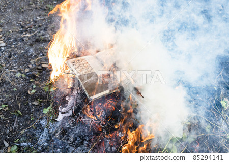 food magazine burning in fire on pile of cut stems 85294141