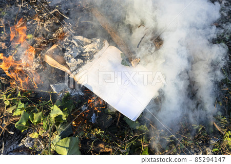 burning book in fire on pile of trimmed branches 85294147