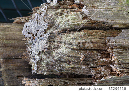 Pillar eroded by termites Pillar eroded by termites 85294316