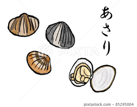 蛤插圖 85295004