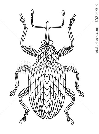 Beetle weevil coloring book. Walnut beetle 85295468