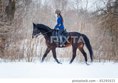 Young woman riding horse in winter park on the snow 85295815
