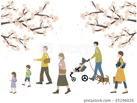 Illustration of a three-generation family walking with a pet against the backdrop of cherry blossoms (in the image of cherry blossom viewing and homecoming) Illustration of a three-generation family walking with a pet against the backdrop of cherry blossoms (in the image of cherry blossom viewing and homecoming) 85296026