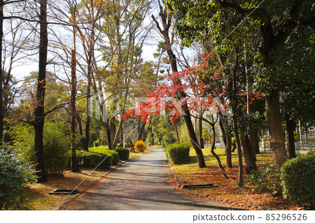 大阪府大阪市西淀川區小野川綠院路/百島 85296526