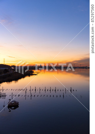 Evening view of Lake Teganuma in Chiba Prefecture 85297560