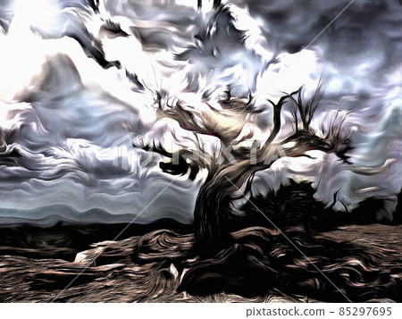Ellusive Nature Ellusive Nature 85297695