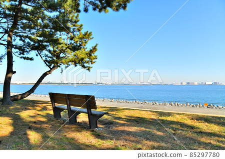 View of Kasai Rinkai Park and Maihama from Wakasu Seaside Park (Koto-ku, Tokyo) [2021.12] 85297780