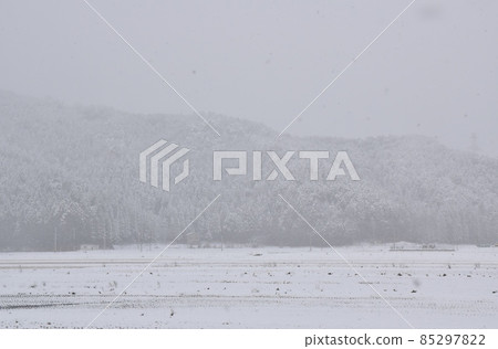 Yogo Shiga的雪景 Yogo Shiga的雪景 85297822