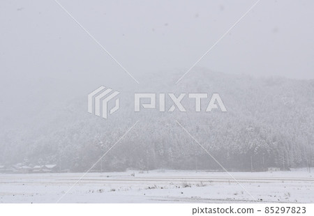 Yogo Shiga的雪景 85297823