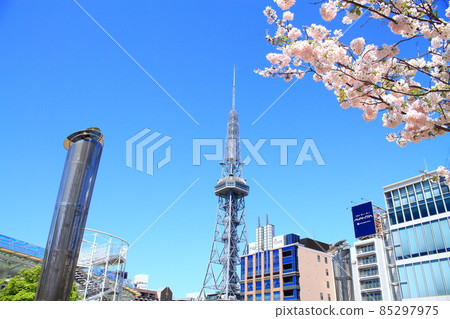 Nagoya city, TV tower and cherry blossom scenery Nagoya city, TV tower and cherry blossom scenery 85297975