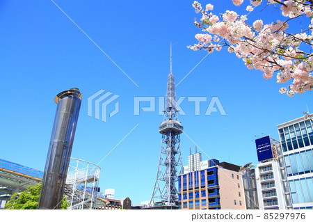 Nagoya city, TV tower and cherry blossom scenery 85297976
