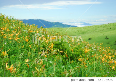 長野縣的Nikko Kisuge Kagamine Peak Plateau 85298620