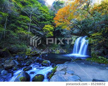 【靜岡】伊豆半島之秋河津七瀧秋葉漫步 【靜岡】伊豆半島之秋河津七瀧秋葉漫步 85298652