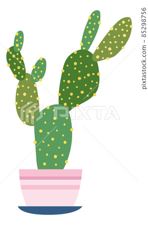 Potted cactus with big green pads. Cute house plant Potted cactus with big green pads. Cute house plant 85298756