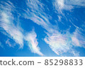 天空紋（綾雲） 85298833