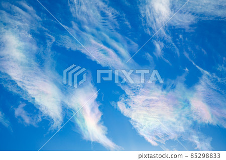 天空紋（綾雲） 85298833