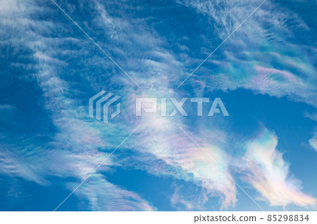 天空紋（綾雲） 85298834