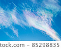 天空紋（綾雲） 85298835