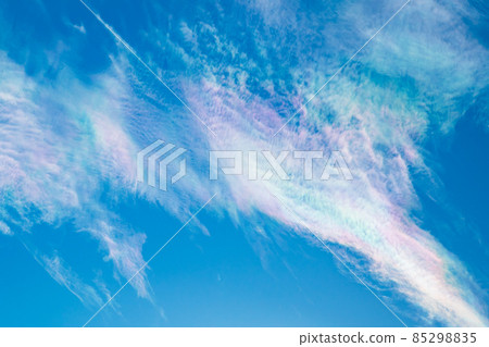 天空紋（綾雲） 85298835