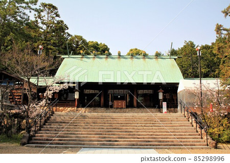 廣田神社參拜大廳和櫻花 廣田神社參拜大廳和櫻花 85298996