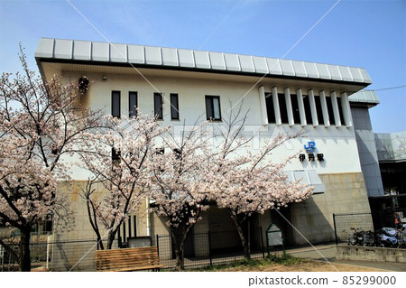 JR伊丹站和櫻花 85299000