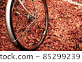 Autumn leaves and bicycles 85299239