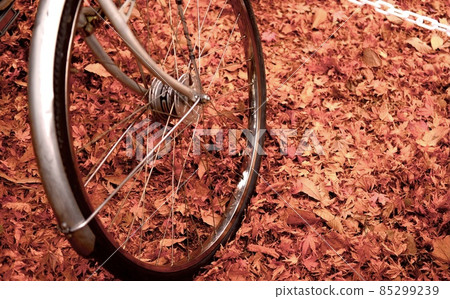 Autumn leaves and bicycles Autumn leaves and bicycles 85299239