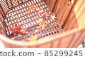 Autumn leaves in a bicycle basket 85299245
