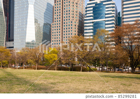 首爾汝矣島汝矣島公園 85299281