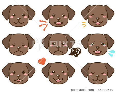 拉布拉多犬（巧克力）面部表情臉圖標 85299659