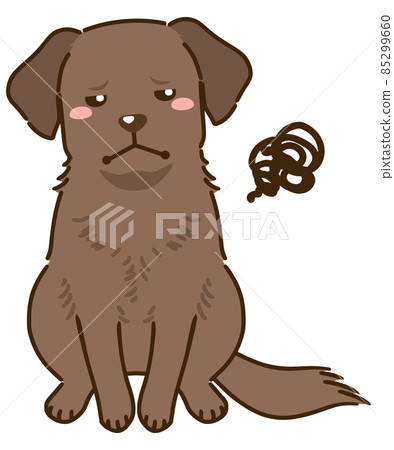 不滿意的拉布拉多獵犬(巧克力) 不滿意的拉布拉多獵犬(巧克力) 85299660