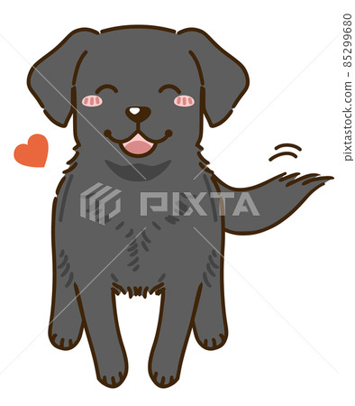 Natsuki Labrador Retriever (Black) 85299680