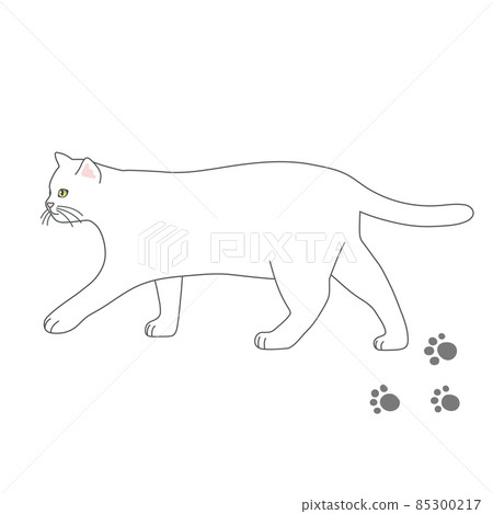 一隻行走的白貓的逼真插圖 一隻行走的白貓的逼真插圖 85300217