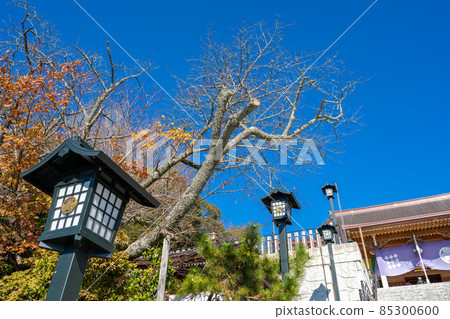 大本山護國寺別院筑波山禦禦堂本館 2020年3月竣工 可眺望整個關東地區 85300600