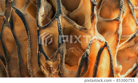 Texture of Morel mushroom in the spring sun in the forest, super macro  85300755
