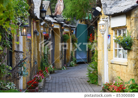 由布院花村的可愛街道 由布院花村的可愛街道 85300880