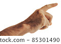 Male hand close up. Person points direction with his finger. Index finger of male hand on white background. Isolated fragment of man's hand. Directions route gesture. Human finger. 85301490