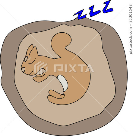 冬天在樹洞裡冬眠的松鼠 85301548