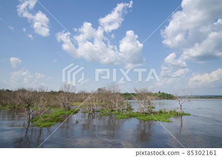 Murchison Falls National Park, Uganda 85302161