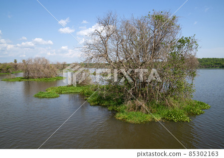 Murchison Falls National Park, Uganda 85302163