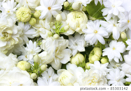 White jasmine flowers fresh flowers natural 85303142
