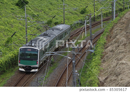 烏山線EV-E301 / Accum（電車區間：宇都宮⇔烏山） 85305617