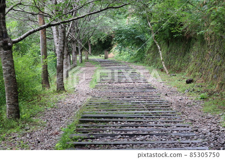 福知山線廢棄線痕跡 福知山線廢棄線痕跡 85305750