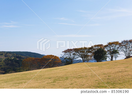 鹿兒島縣霧島的牧場 鹿兒島縣霧島的牧場 85306190