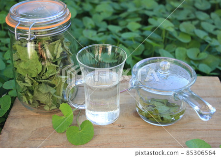 激活大腦 Gotu 可樂茶 85306564