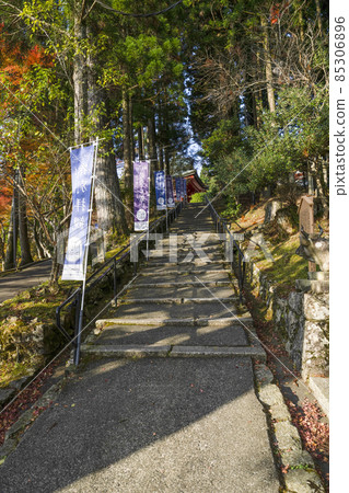 Hieizan Enryakuji Temple (2021) The approach to the bell tower and the large auditorium Hieizan Enryakuji Temple (2021) The approach to the bell tower and the large auditorium 85306896
