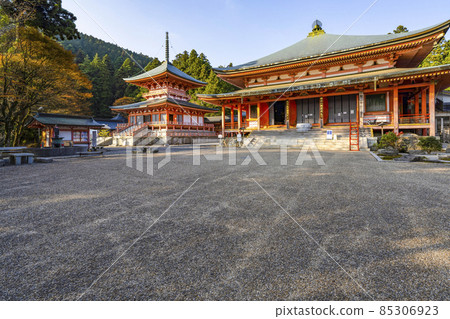 Hieizan Enryakuji Temple (2021) Houka Sochiin East Pagoda and Amidado Hieizan Enryakuji Temple (2021) Houka Sochiin East Pagoda and Amidado 85306923