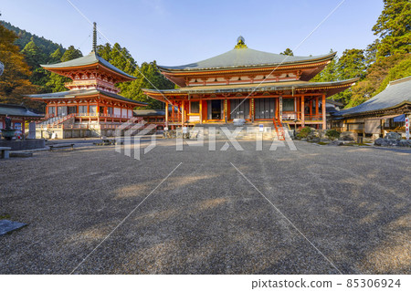 Hieizan Enryakuji Temple (2021) Houka Sochiin East Pagoda and Amidado Hieizan Enryakuji Temple (2021) Houka Sochiin East Pagoda and Amidado 85306924