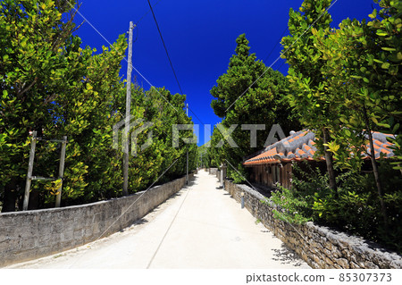 沖繩島的風景名勝 85307373